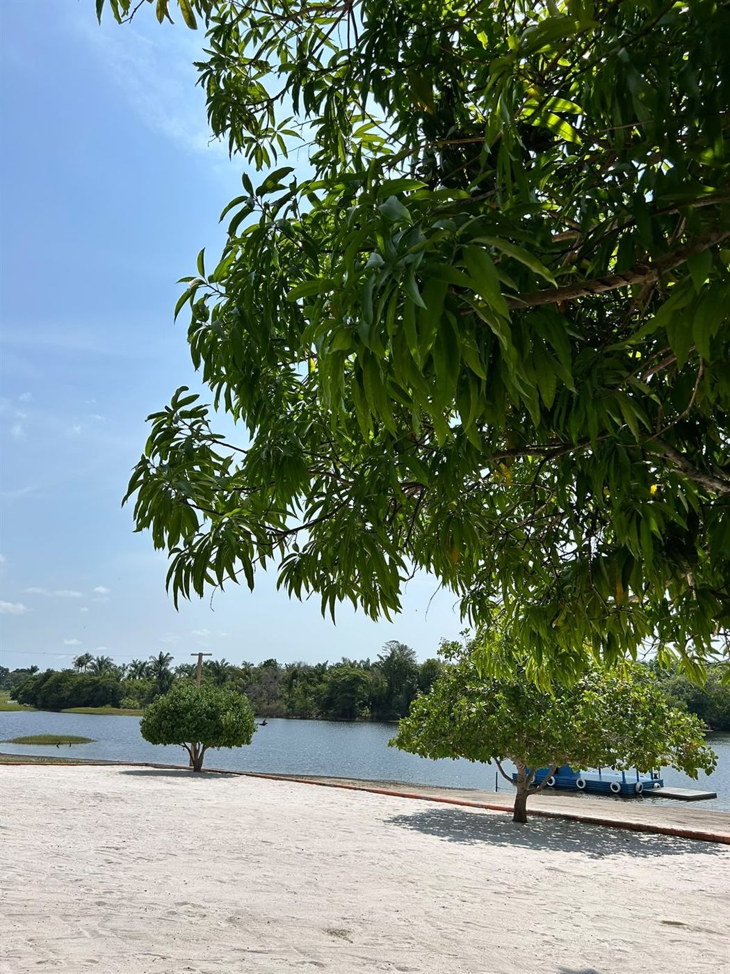 Areia e árvores à beira da água